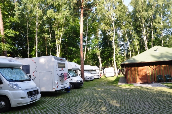 Galeria - zdjęcie 11