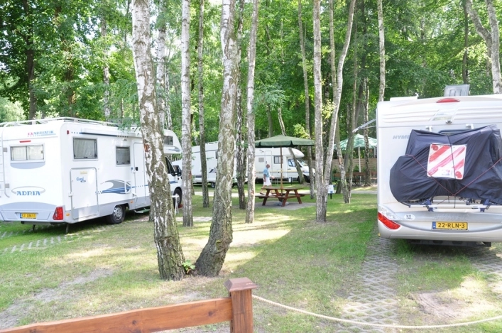 Galeria - zdjęcie 10