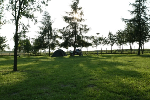 Galeria - zdjęcie 6