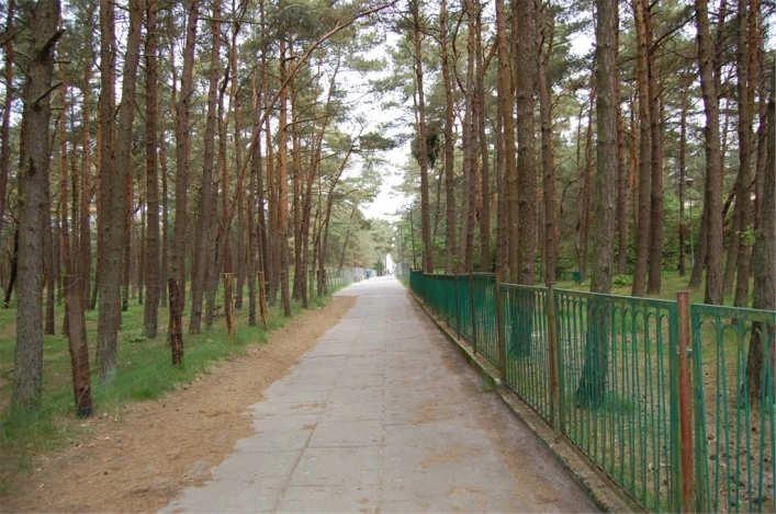 Galeria - zdjęcie 2