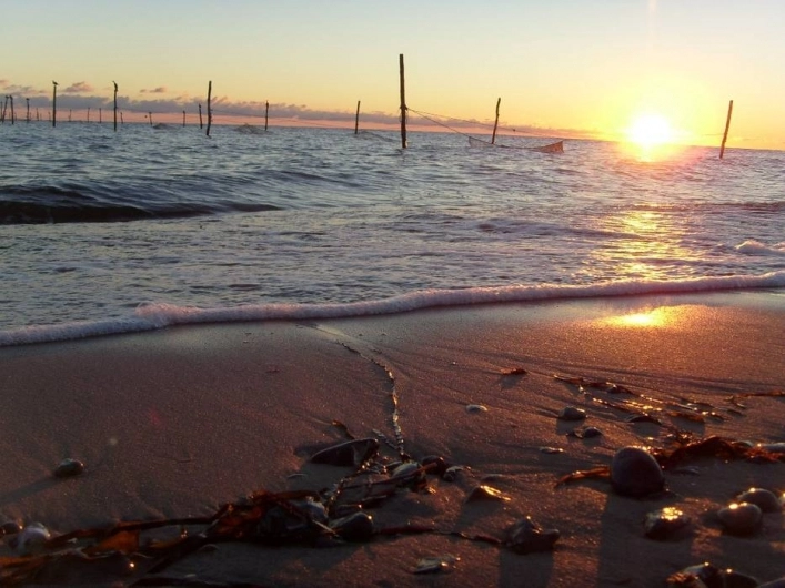 zobacz camping - zdjęcie 10