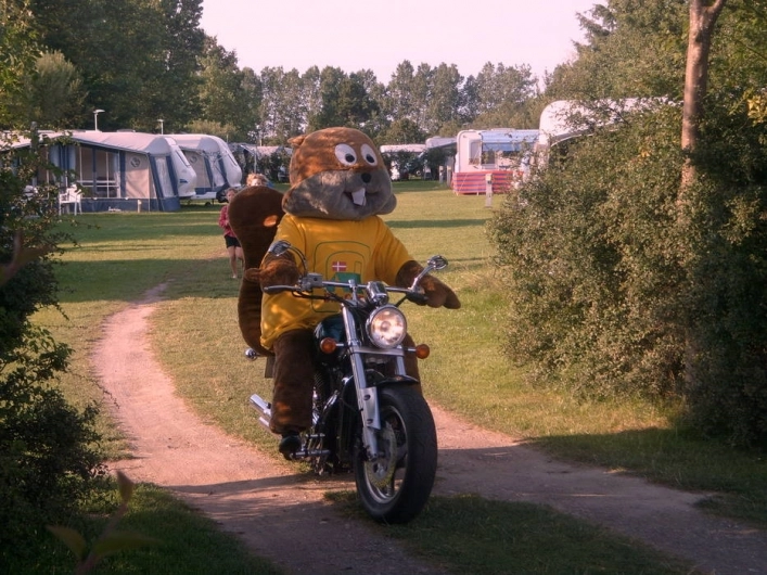 zobacz camping - zdjęcie 9