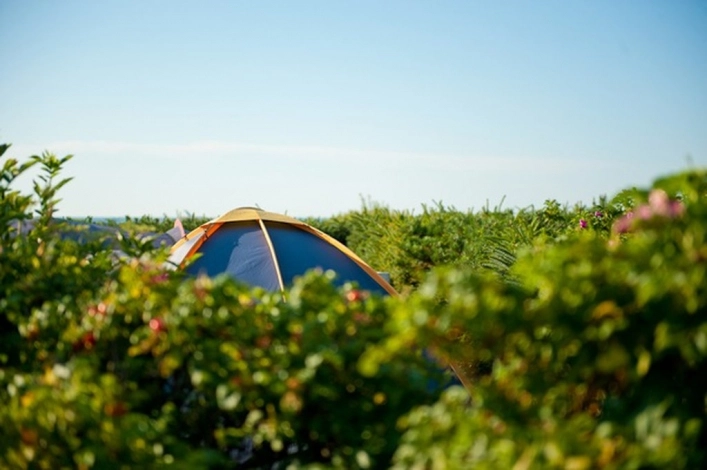 zobacz camping - zdjęcie 7