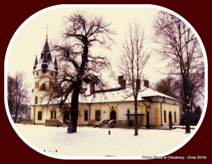 Hotel Pałac w Olszanicy - zdjęcie 4