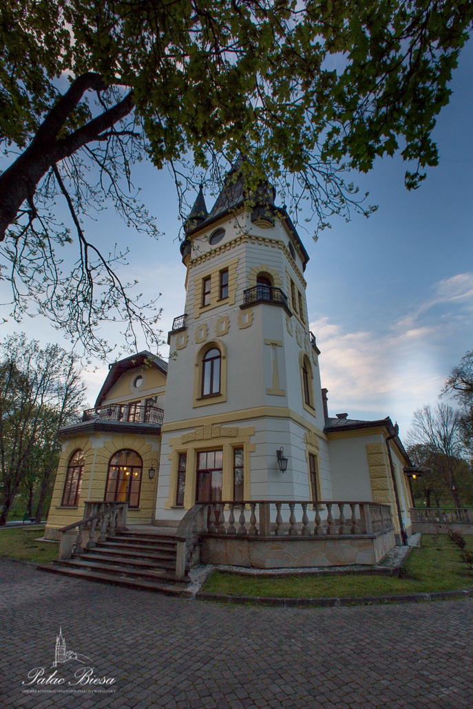 Hotel Pałac w Olszanicy - zdjęcie 1