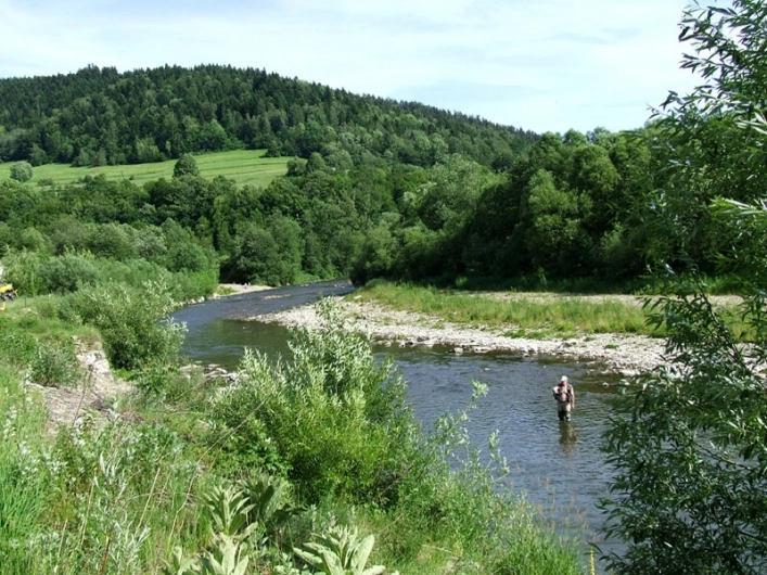 Galeria - zdjęcie 15