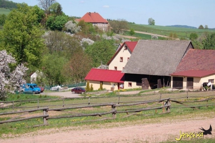 Agroturystyka "Jaskółka" - zdjęcie 1