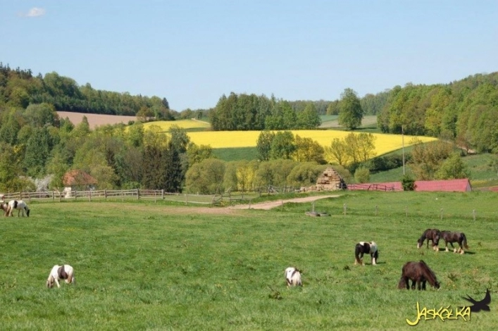 Galeria - zdjęcie 1