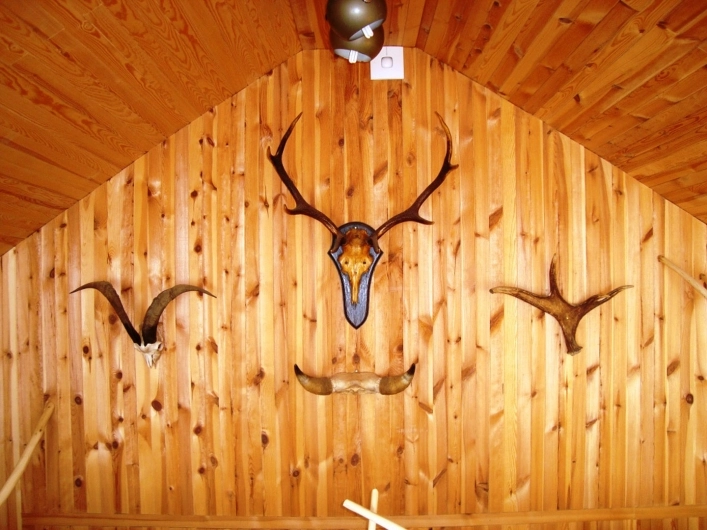 Galeria - zdjęcie 6