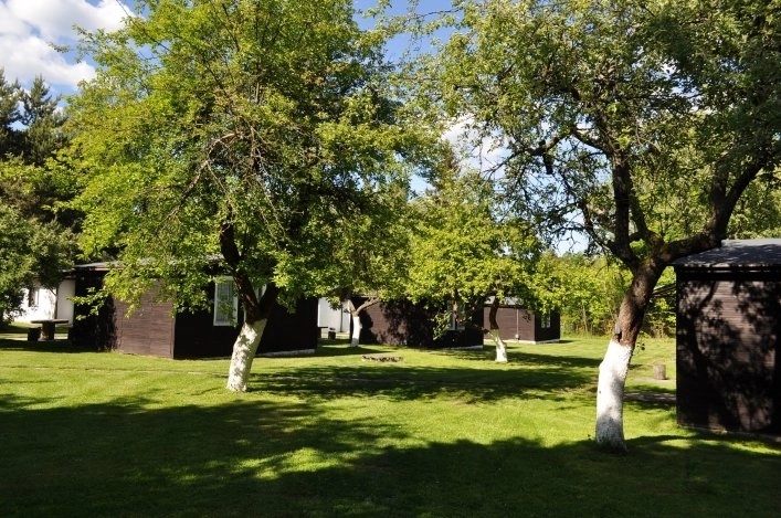 Galeria - zdjęcie 2