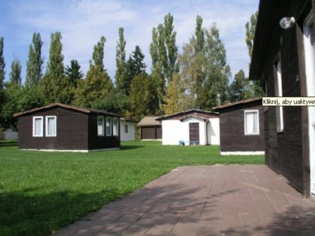 Galeria - zdjęcie 9