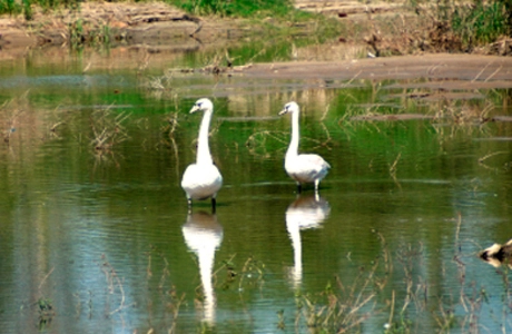  „Nad Wisłą” nr 209 - zdjęcie 3