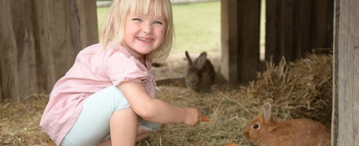 nasza oferta - zdjęcie 5