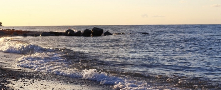 nasza oferta - zdjęcie 1