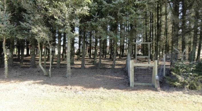 nasza oferta - zdjęcie 14