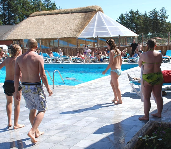 nasza oferta - zdjęcie 8