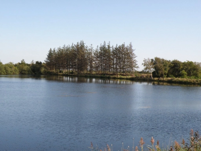 nasza oferta - zdjęcie 17