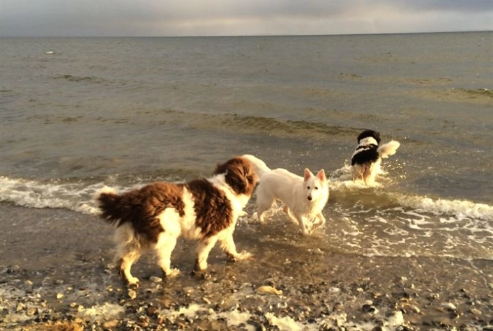 nasza oferta - zdjęcie 3