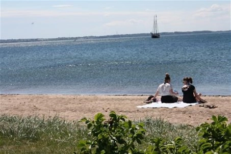 nasza oferta - zdjęcie 11