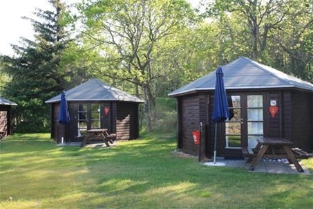 nasza oferta - zdjęcie 9