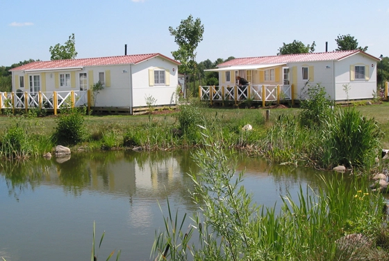 nasza oferta - zdjęcie 23