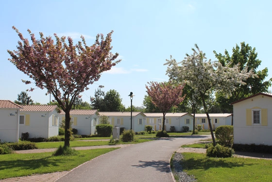 nasza oferta - zdjęcie 22