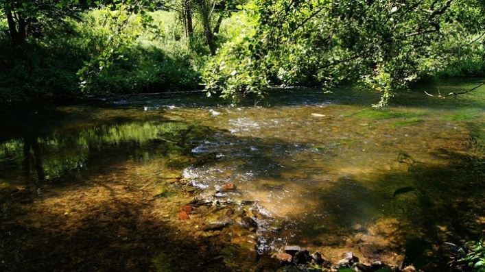 nasza oferta - zdjęcie 3