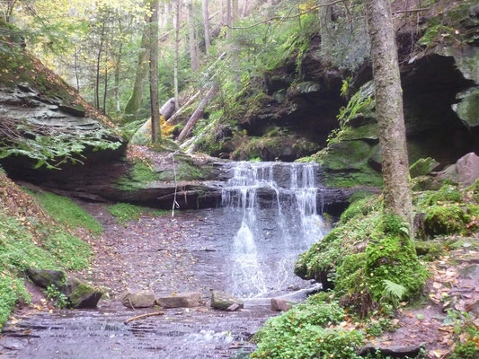 nasza oferta - zdjęcie 1