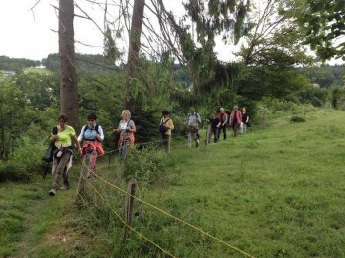 nasza oferta - zdjęcie 1