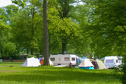  Camping im Eichenwald