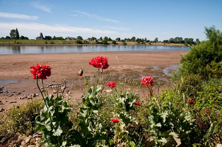 nasza oferta - zdjęcie 9