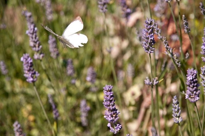 nasza oferta - zdjęcie 8