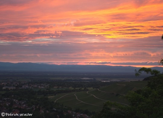 nasza oferta - zdjęcie 44