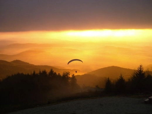 nasza oferta - zdjęcie 12