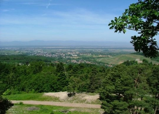  Kur&Feriencamping Badenweiler - zdjęcie 1