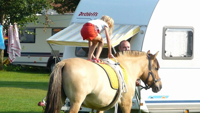 nasza oferta - zdjęcie 14