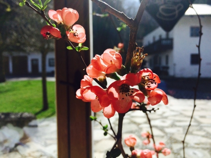  Camping Stein am Simssee - zdjęcie 4