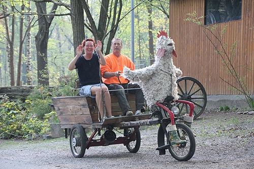 nasza oferta - zdjęcie 15