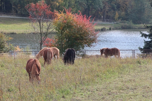 nasza oferta - zdjęcie 12