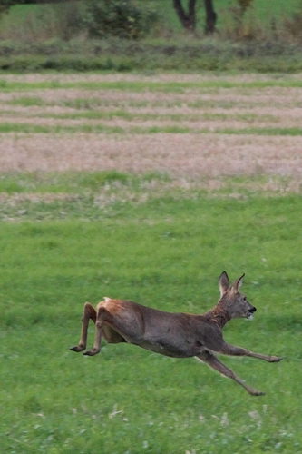 nasza oferta - zdjęcie 11