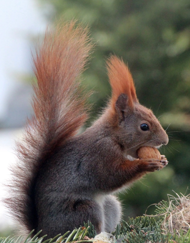 nasza oferta - zdjęcie 7