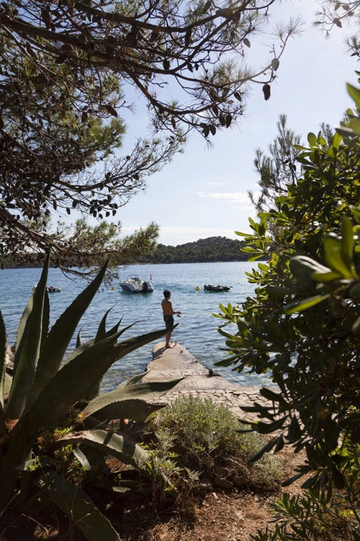 nasza oferta - zdjęcie 18