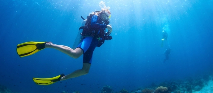 nasza oferta - zdjęcie 8