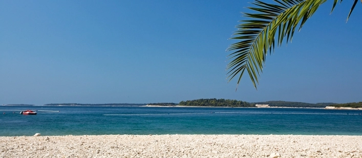 nasza oferta - zdjęcie 6