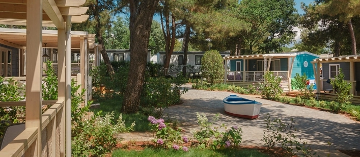 nasza oferta - zdjęcie 17