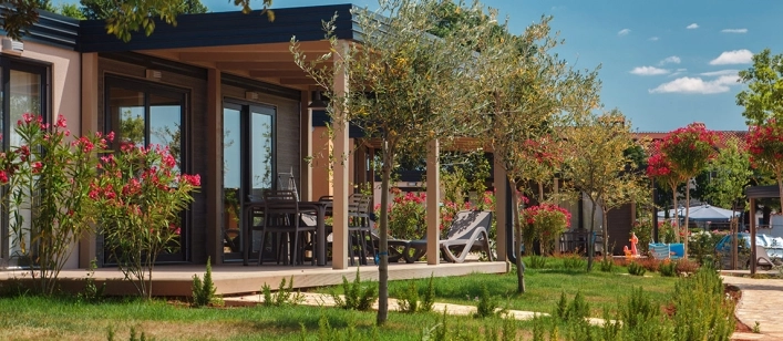 nasza oferta - zdjęcie 15