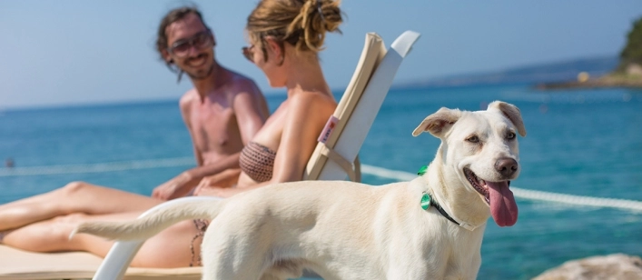 nasza oferta - zdjęcie 22