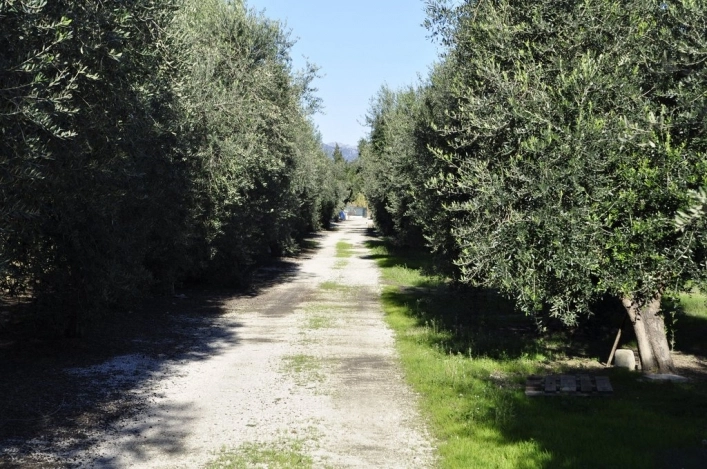 nasza oferta - zdjęcie 8