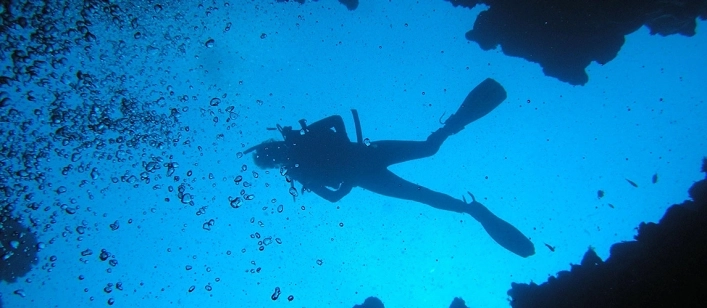 nasza oferta - zdjęcie 14