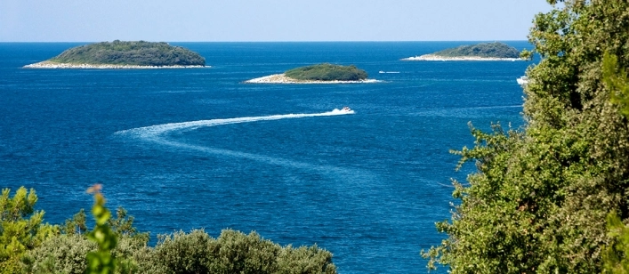 nasza oferta - zdjęcie 13